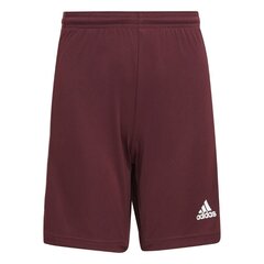 Bērnu šorti Adidas Squadra 21 GN8081, bordo krāsas cena un informācija | Futbola formas un citas preces | 220.lv