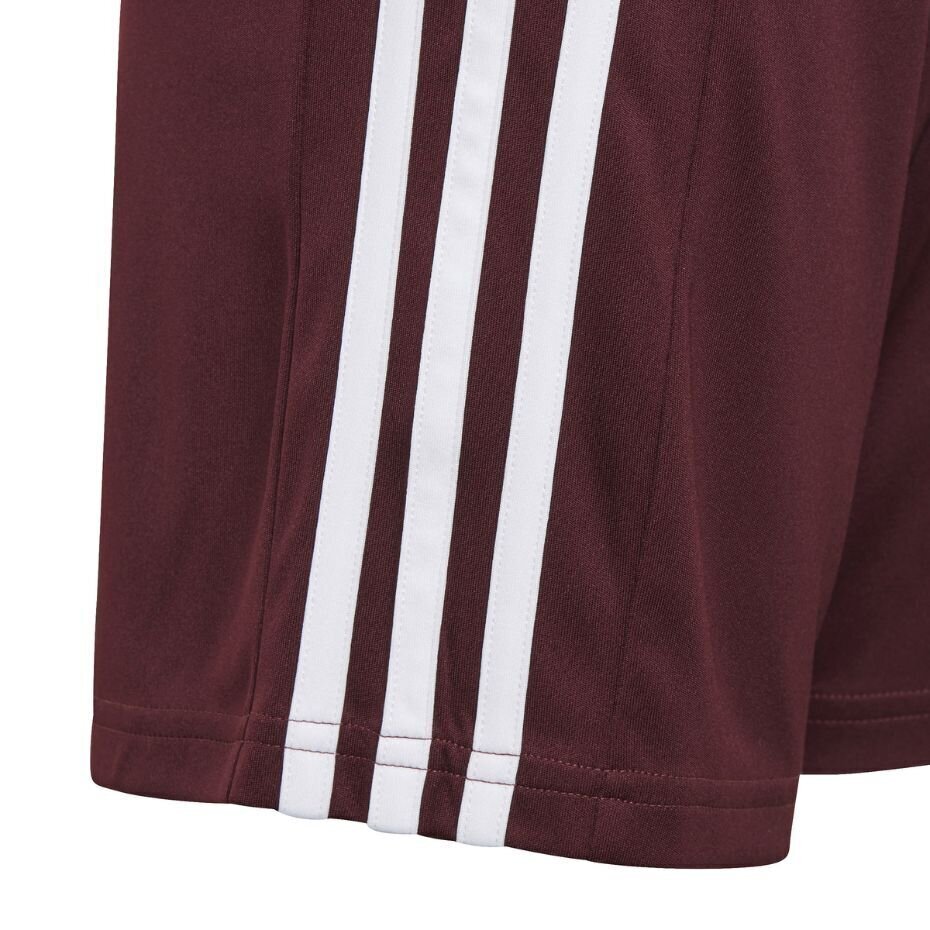 Bērnu šorti Adidas Squadra 21 GN8081, bordo krāsas cena un informācija | Futbola formas un citas preces | 220.lv