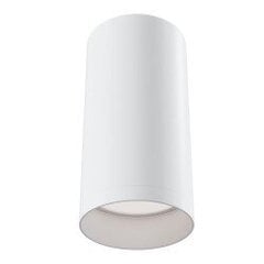 Griestu lampa Maytoni Ceiling, baltā krāsā C010CL-01W цена и информация | Потолочные светильники | 220.lv