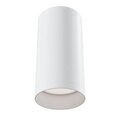 Griestu lampa Maytoni Ceiling, baltā krāsā C010CL-01W