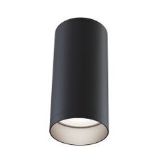 Griestu lampa Maytoni Ceiling &amp;amp; Wall melnā krāsā C010CL-01B cena un informācija | Griestu lampas | 220.lv