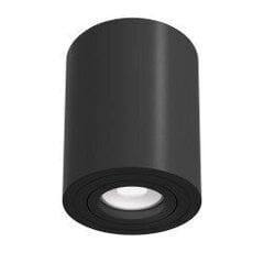Griestu lampa Maytoni Ceiling &amp;amp; Wall melnā krāsā apaļas formas C016CL-01B cena un informācija | Griestu lampas | 220.lv