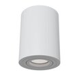 Griestu lampa Maytoni Ceiling, baltā krāsā apaļas formas C016CL-01W