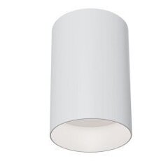 Griestu lampa Maytoni Ceiling, baltā krāsā apaļas formas C014CL-01W cena un informācija | Griestu lampas | 220.lv