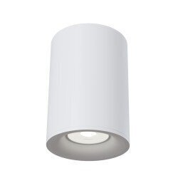 Griestu lampa Maytoni Ceiling,baltā krāsā apaļas formas C012CL-01W cena un informācija | Griestu lampas | 220.lv