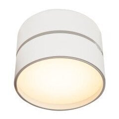 Griestu lampa Maytoni Ceiling & Wall, baltā krāsā ar LED diodēm C024CL-L18W цена и информация | Потолочные светильники | 220.lv