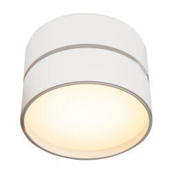 Griestu lampa Maytoni Ceiling & Wall, baltā krāsā ar LED diodēm C024CL-L18W cena un informācija | Griestu lampas | 220.lv