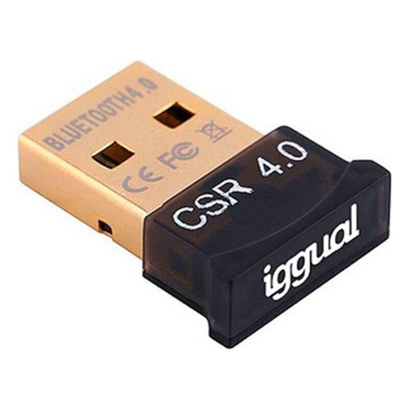 Bluetooth adapteris 4.0 Iggual, IGG316658, 2.4 GHz cena un informācija | Adapteri un USB centrmezgli | 220.lv