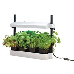 "Micro Grow Light Garden" stādaudzētava 11W Balta cena un informācija | Podi stādiem un pārstādīšanai | 220.lv