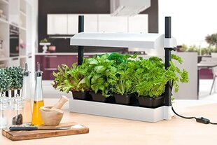 "Micro Grow Light Garden" stādaudzētava 11W Balta cena un informācija | Podi stādiem un pārstādīšanai | 220.lv