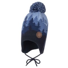 Lenne Beanie AFARE Art. 21374/229 цена и информация | Шапки, перчатки, шарфы для мальчиков | 220.lv