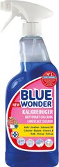 Blue Wonder spēcīgs kaļķakmens tīrītājs (750 ml) cena un informācija | Tīrīšanas līdzekļi | 220.lv