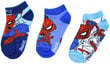 Marvel Zeķes Spider Man Blue SP-A-SOCKS-126 цена и информация | Zēnu zeķubikses, zeķes | 220.lv