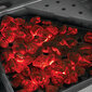 Gāzes grils NAPOLEON Prestige 500 ar gaismas paneli, melns цена и информация | Grili | 220.lv