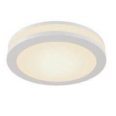 Spotlampa Maytoni Downlight, baltā krāsā ar LED diodēm DL2001-L12W cena un informācija | Griestu lampas | 220.lv