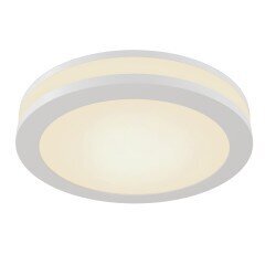 Spotlampa Maytoni Downlight, baltā krāsā ar LED diodēm DL2001-L12W цена и информация | Griestu lampas | 220.lv