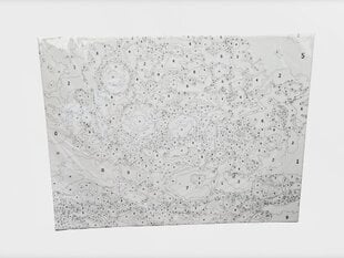DIY glezna pēc cipariem "Saulespuķes", 40x30 cm cena un informācija | Gleznas pēc numuriem | 220.lv