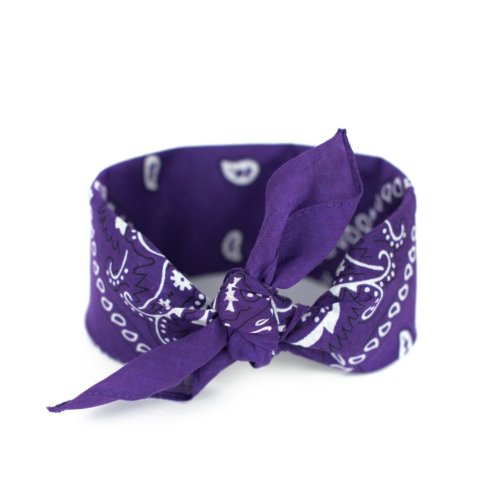 Art of Polo Bandana | violets sz13014-21 цена и информация | Sieviešu šalles, lakati | 220.lv