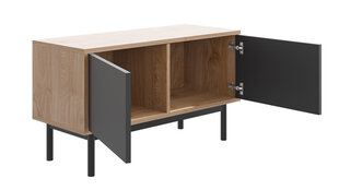 TV galds Bruno BRTV104-jackson hickory / grafīts cena un informācija | TV galdiņi | 220.lv