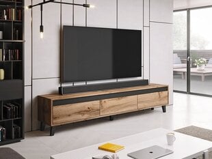 TV galds ELSIE-ozola / ozola + antracīta cena un informācija | TV galdiņi | 220.lv