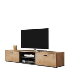 TV galds BOHO B3-ozola / ozola + melns cena un informācija | TV galdiņi | 220.lv