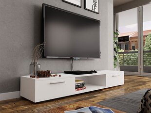 TV galds PANEZI-balts (balts) cena un informācija | TV galdiņi | 220.lv