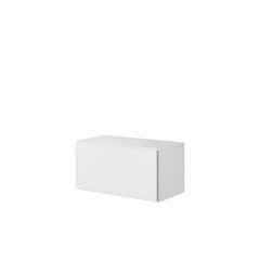 Тумба под ТВ NESSOR NS03-white (белый) цена и информация | Тумбы под телевизор | 220.lv