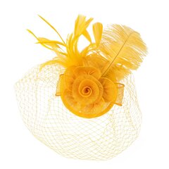 Art of Polo fascinators | dzeltens cena un informācija | Matu aksesuāri | 220.lv