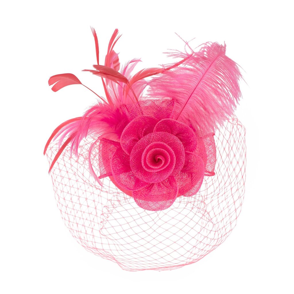 Art of Polo fascinators | rozā cena un informācija | Matu aksesuāri | 220.lv