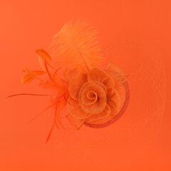 Art of Polo fascinators | rūda cena un informācija | Matu aksesuāri | 220.lv