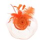 Art of Polo fascinators | rūda cena un informācija | Matu aksesuāri | 220.lv