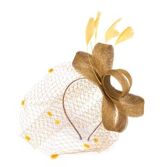 Art of Polo fascinators | zeltaini cena un informācija | Matu aksesuāri | 220.lv