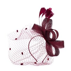 Art of Polo fascinators | klarete cena un informācija | Matu aksesuāri | 220.lv