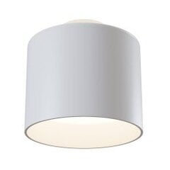 Griestu lampa Maytoni Ceiling &amp;amp; Wall baltā krāsā ar LED diodēm C009CW-L12W cena un informācija | Griestu lampas | 220.lv