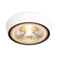 Лампа Maxlight Charon, коллекция белая, 12W 3000K C0207 цена и информация | Потолочные светильники | 220.lv