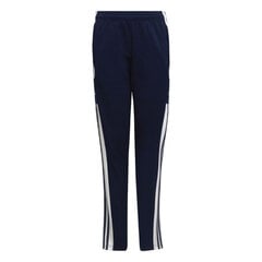 Спортивные брюки для детей Adidas Squadra 21 HC6280, темно-синий цена и информация | Футбольная форма и другие товары | 220.lv