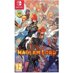 Maglam Lord Switch игра цена и информация | Компьютерные игры | 220.lv