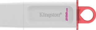 Kingston DataTraveler 256GB USB 3.0 цена и информация | USB накопители | 220.lv