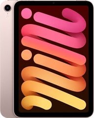 Apple iPad Mini (2021) Wi-Fi 64ГБ, Pink MLWL3FD/A цена и информация | для планшетов | 220.lv