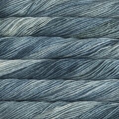 Пряжа Malabrigo Silky Merino, цвет Green Grey, 50g, 137m цена и информация | Принадлежности для вязания | 220.lv