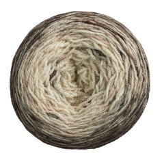 Пряжа Malabrigo Sock, цвет Gravity, 100 г, 402 м цена и информация | Принадлежности для вязания | 220.lv