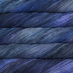 Пряжа Malabrigo Sock, цвет Azules, 100 г, 402 м цена и информация | Принадлежности для вязания | 220.lv