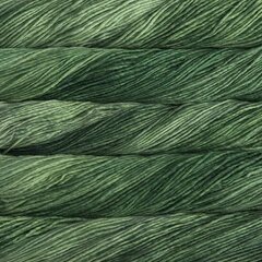 Пряжа Malabrigo Worsted, цвет Saphire Green, 100 г, 192 м цена и информация | Принадлежности для вязания | 220.lv