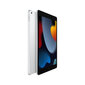 Apple iPad 10.2" Wi-Fi 256GB - Silver 9th Gen MK2P3 cena un informācija | Planšetdatori | 220.lv