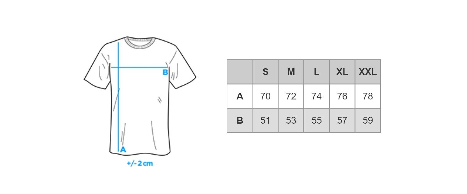 Vīriešu T-krekls ar apdruku Ombre S1297 cena un informācija | Vīriešu T-krekli | 220.lv