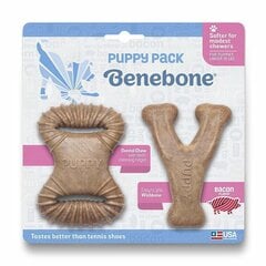 Benebone Puppy 2-pack Dental Chew/Wishbone košļājamā rotaļlieta kucēniem ar bekona garšu cena un informācija | Suņu rotaļlietas | 220.lv