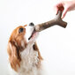 Benebone Maplestick Medium košļājamā rotaļlieta suņiem ar kļavu koka smaržu cena un informācija | Suņu rotaļlietas | 220.lv