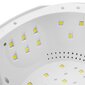 Activeshop UV/LED Professional 168W WHITE цена и информация | Pedikīra, manikīra piederumi | 220.lv