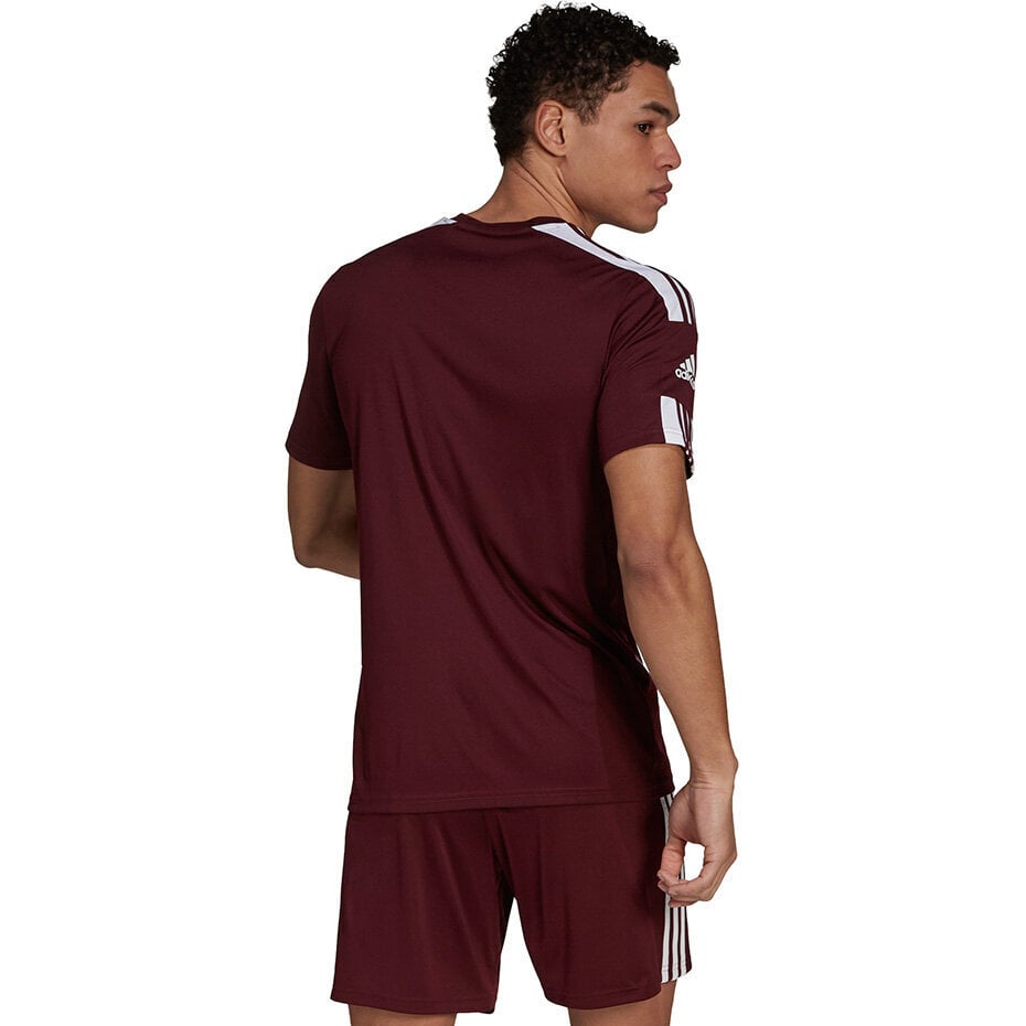 Vīriešu blūze ar īsām piedurknēm Adidas Squadra 21 Jersey GN8091, bordo krāsa cena un informācija | Futbola formas un citas preces | 220.lv