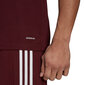 Vīriešu blūze ar īsām piedurknēm Adidas Squadra 21 Jersey GN8091, bordo krāsa cena un informācija | Futbola formas un citas preces | 220.lv